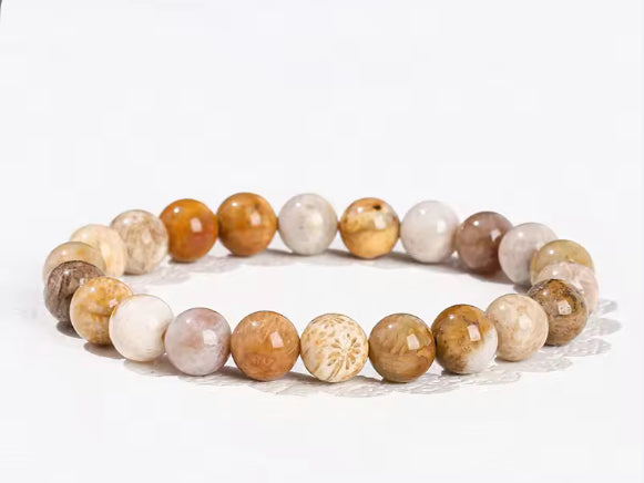 Natural Fossil Coral Bracelet⁠